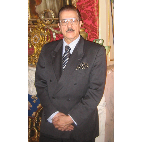 Seminatore, Irnerio: Waterloo 2015 – Fiktion über einen postmodernen Putsch