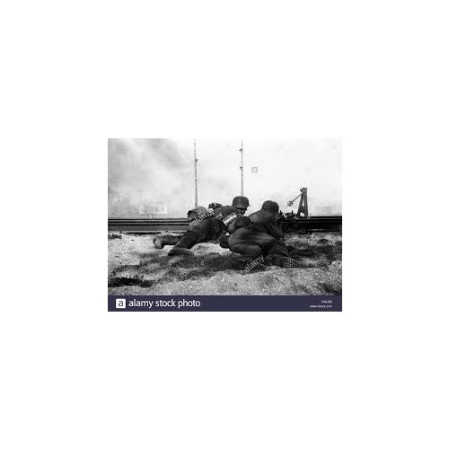 Telek, Martin: Der Fleischwolf von Rschew