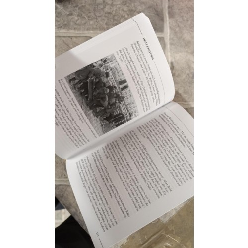 Goodrich, Thomas (Autor)/Ausmeier, Gerhard (Übersetzer): Höllensturm