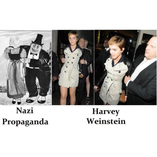 Hiemer, Ernst: Der Giftpilz